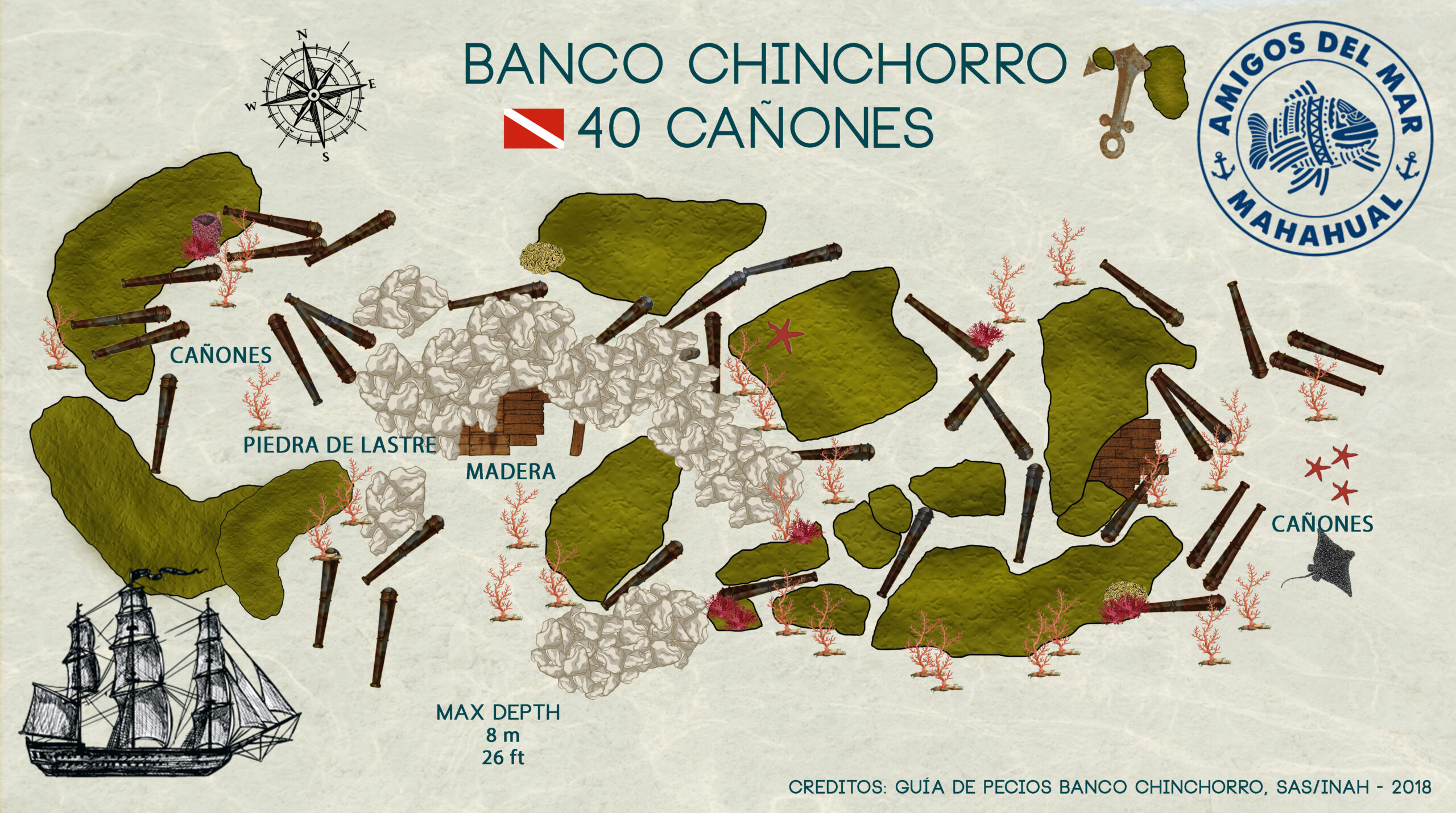 40 Canyons Banco Chinchorro Dive Site
