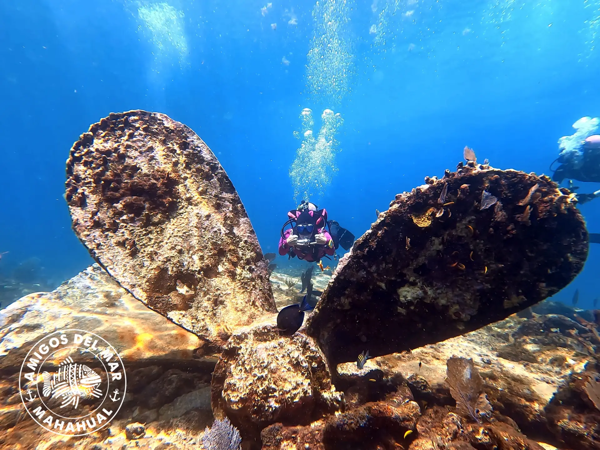 Wreck diving at Banco Chinchorro