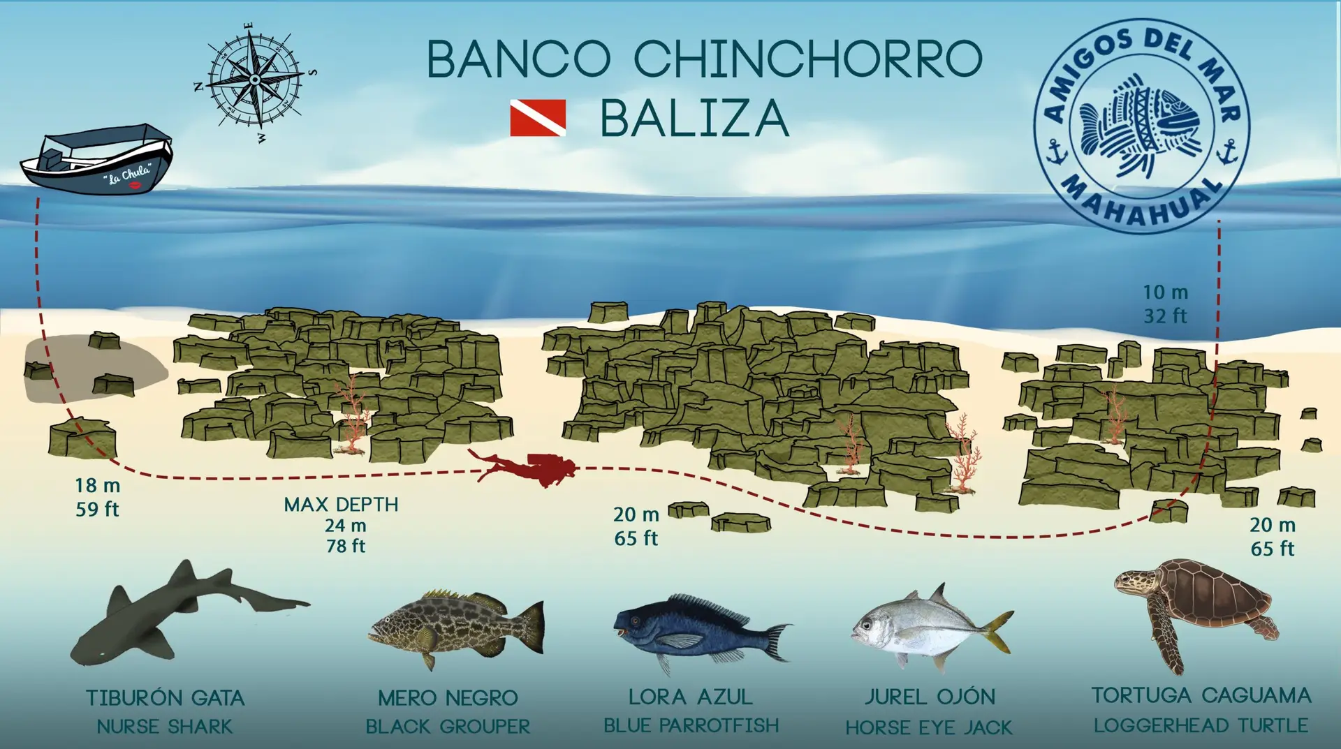 Baliza Banco Chinchorro Dive Site