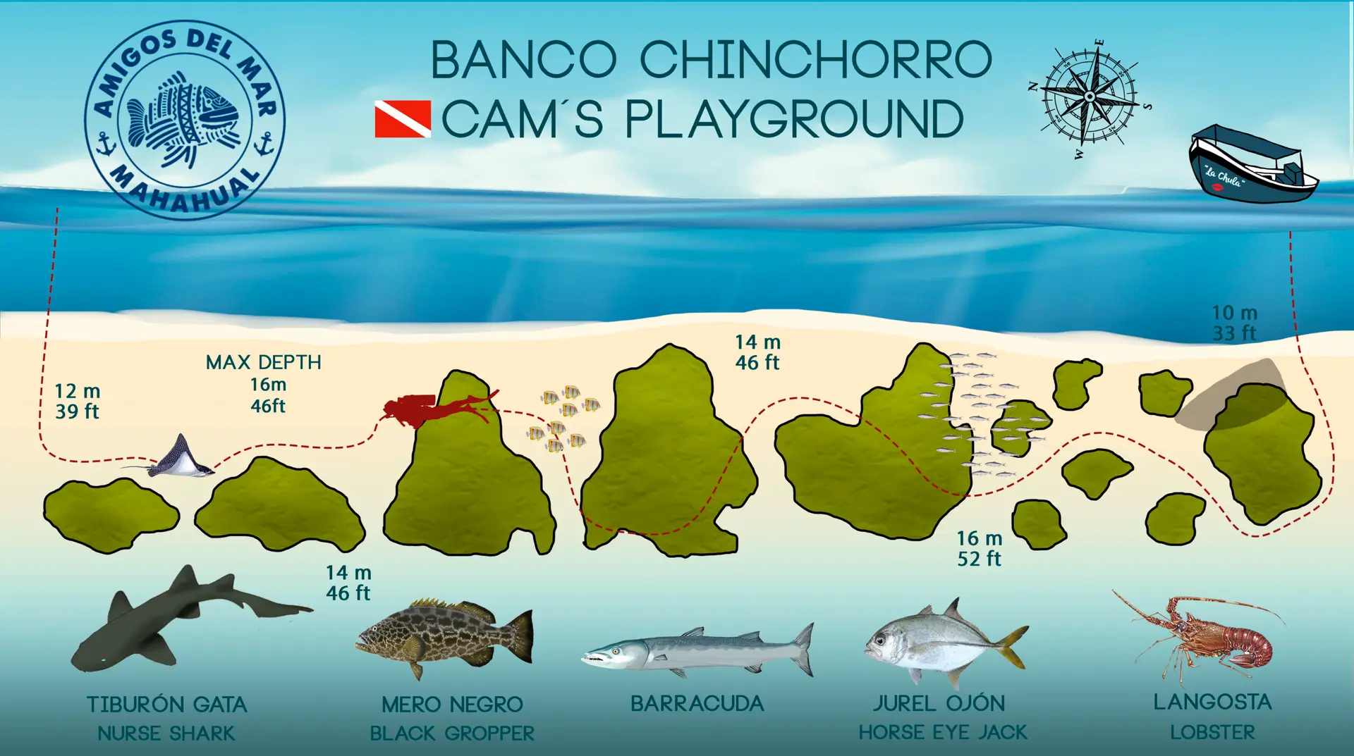 Cam's Playground Dive Site Banco Chinchorro