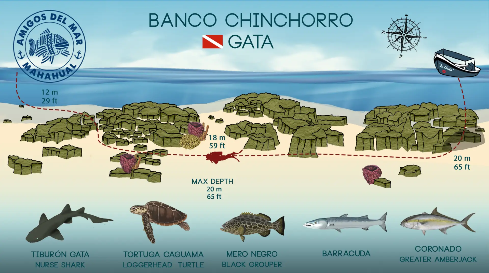 Gata Banco Chinchorro Dive Site