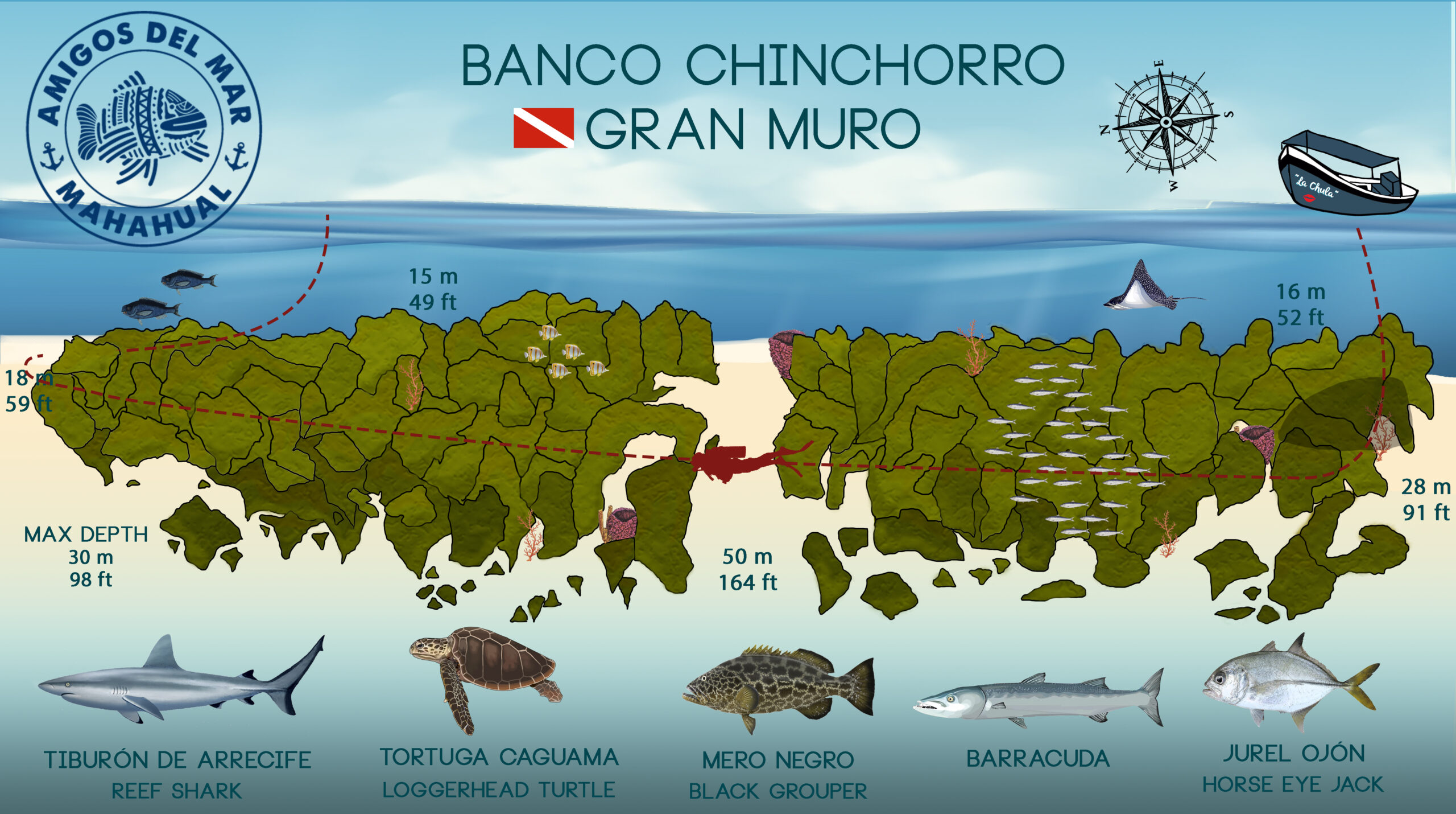 Gran Muro Dive Site