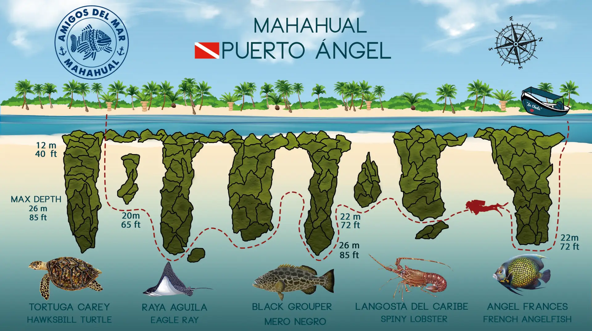 Puerto Angel Mahahual Dive Site