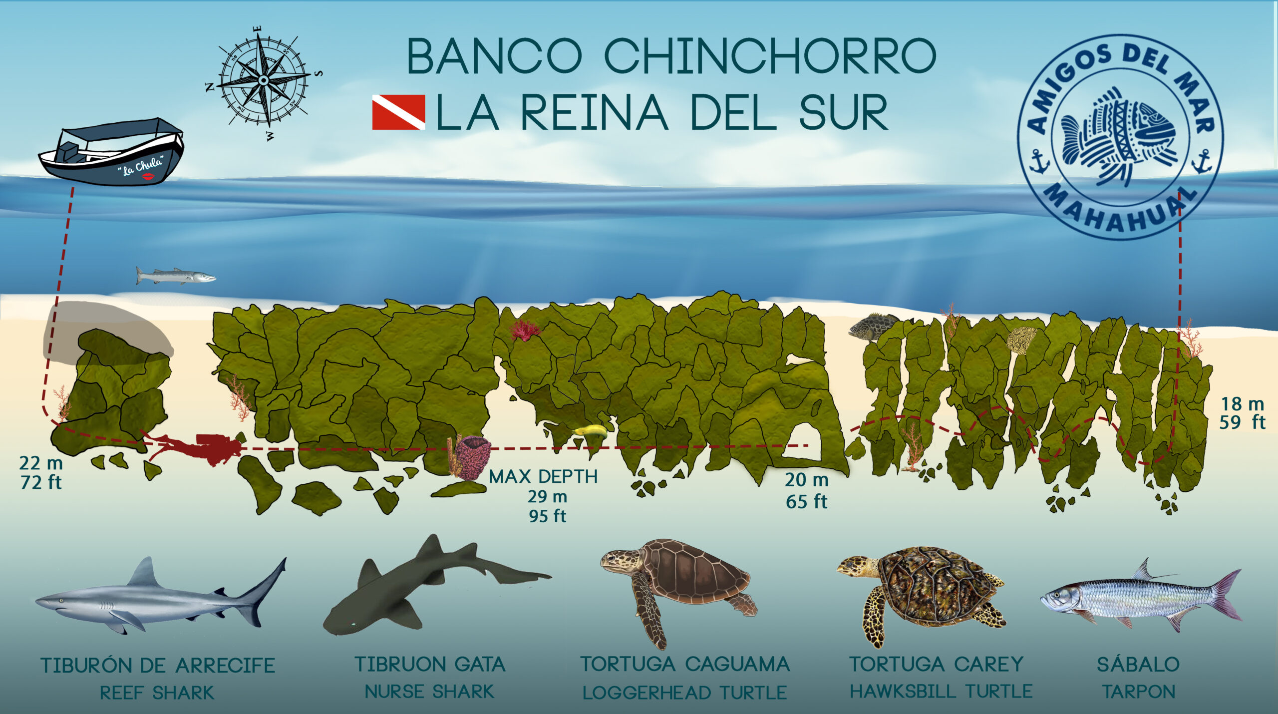 Reina del Sur Dive Site